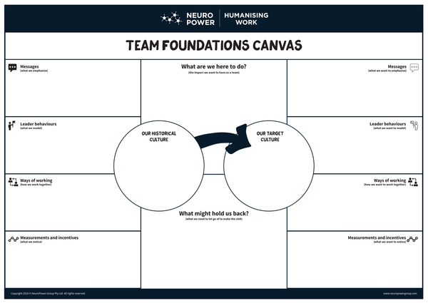 Team Foundation Canvas A0